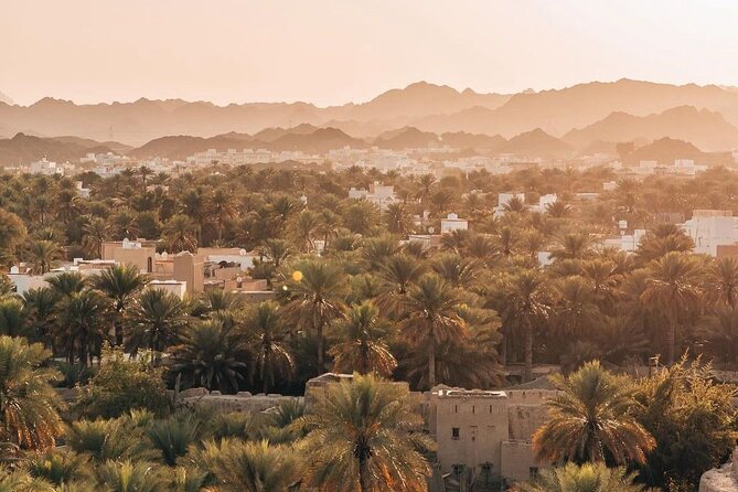 Private Day Tour to the Enchanting Forts of Nizwa - Bahla pottery and a brief town stop