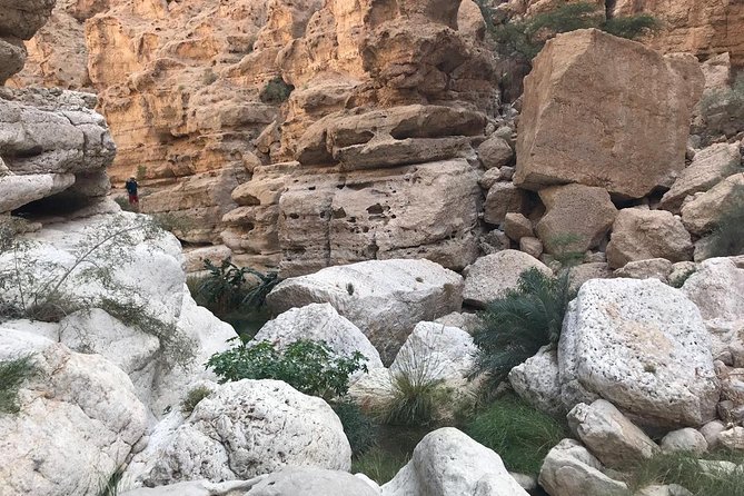 Private Day Trip to Wadi Shab & Bimmah Sinkhole Price Up To 5 Persons - Bimmah Sinkhole is an easy final highlight