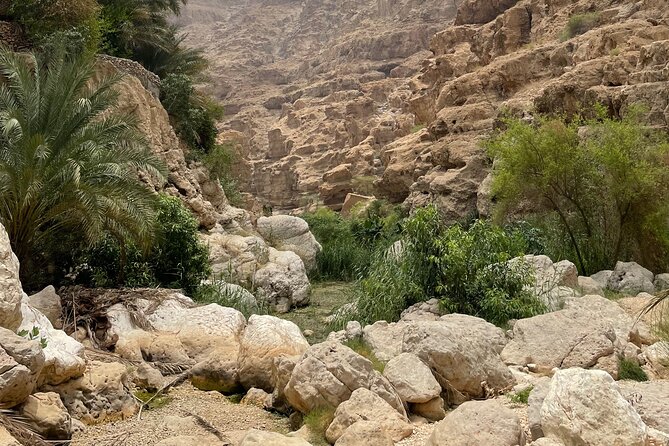 Private Day Trip to Wadi Shab, Fins Beach & Bimmah Sinkhole - Timing, gear, and practical planning
