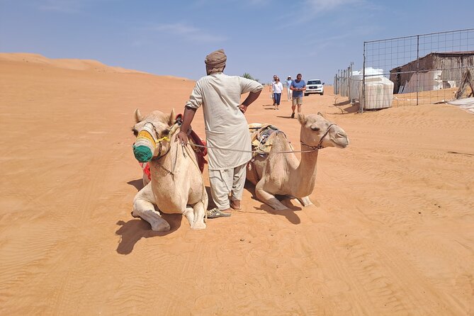Private Desert and Wadi Tour in Oman - What the guide adds to the day