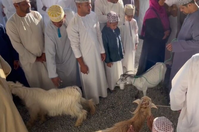 Private Friday Cattle Market-Nizwa and Jebel Akhdar-Full-Day Tour - Why Nizwa’s Friday market is worth the early alarm