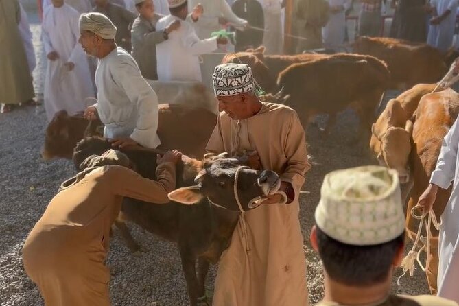 Private Friday Cattle Market-Nizwa and Jebel Akhdar-Full-Day Tour - Jebel Akhdar, Oman’s Green Mountain