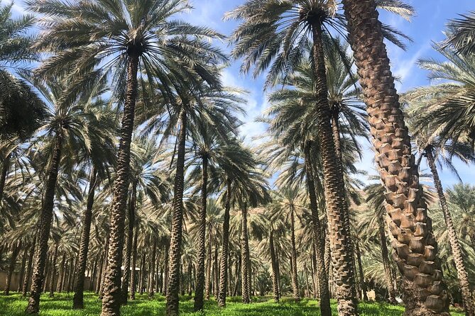 Private Friday Cattle Market-Nizwa and Jebel Akhdar-Full-Day Tour - What the private 4WD setup means for you