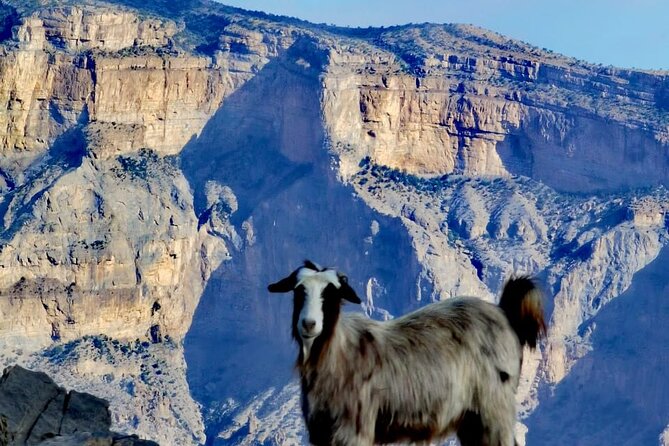 Private Full Day Guided Balcony Walk Hiking to Jebel Shams - What to bring and how to prepare