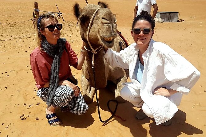 Private Full Day Private Desert Safari Tour - A Bedouin house, coffee, dates, and a short camel ride