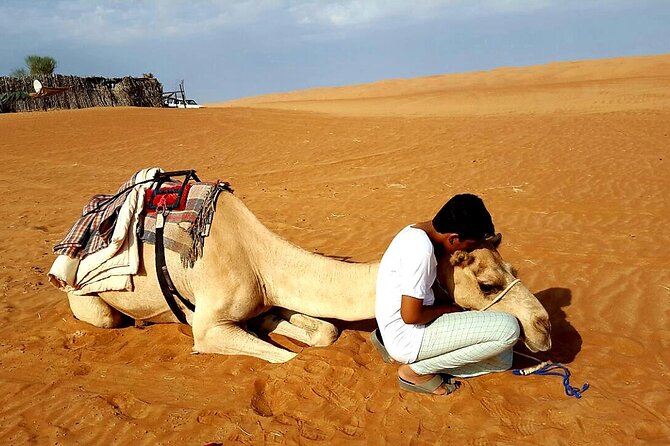 Private Full Day Private Desert Safari Tour - Practical details before you reserve