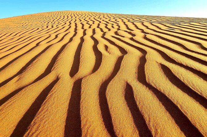 Private Full Day Private Desert Safari Tour - Is the $175 price worth it?