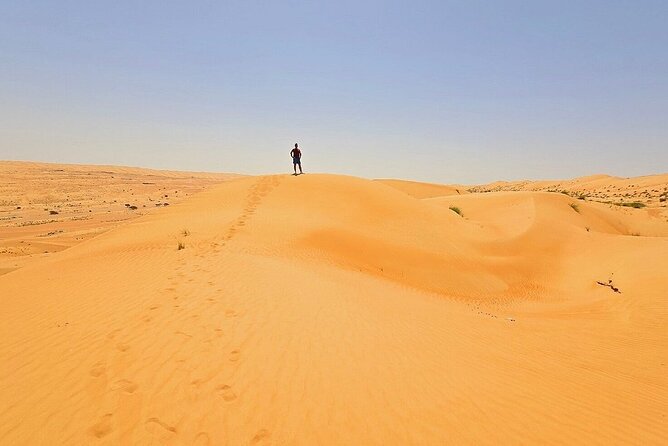 Private Full Day Tour to Wahiba Sands Desert and Wadi Hawer - What the $183.60 price buys you