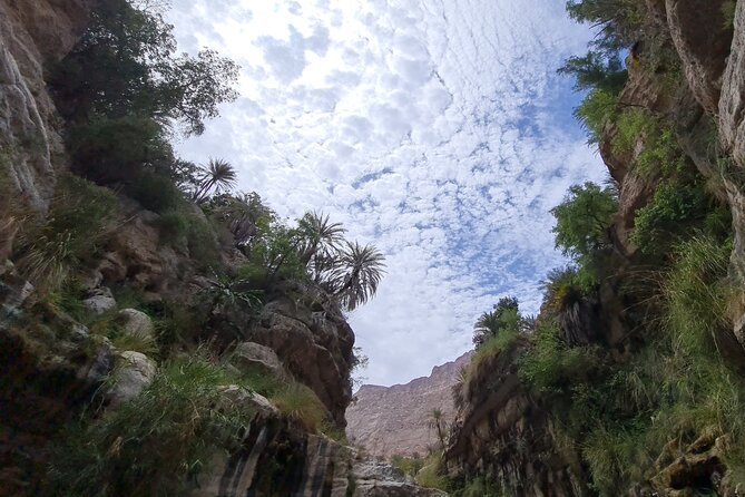 Private Full-Day Wadi Tiwi and Bimmah Sinkhole Tour from Muscat - What the price of $187 means in practice