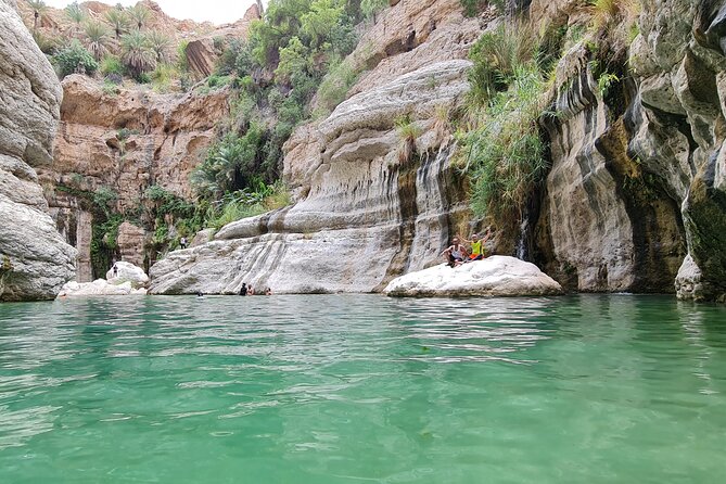 Private Full-Day Wadi Tiwi and Bimmah Sinkhole Tour from Muscat - Wadi Tiwi: palms, pools, and a more active morning