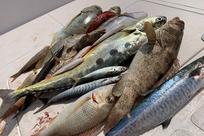 Private Game Fishing Trip with Sightseeing in Muscat - How the price compares with the experience