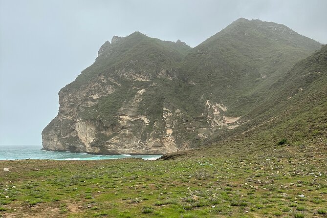 Private Guided Tour to West Beaches of Salalah - A wild frankincense tree and the story behind the resin