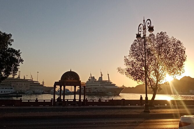 Private Half-Day Muscat City At Night Tour - A guide who shapes the experience