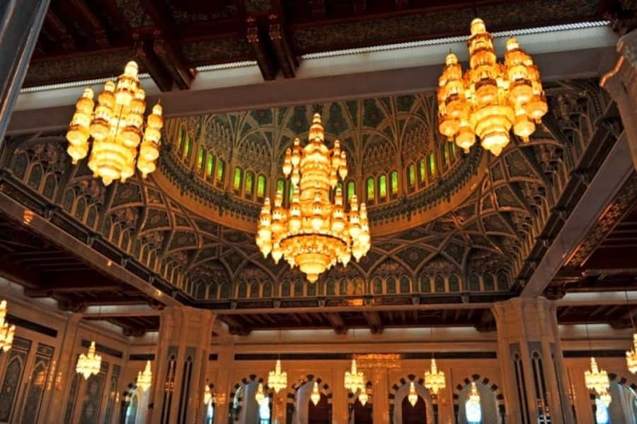 Private Half-Day Muscat City Tour - What the vehicle and guide add