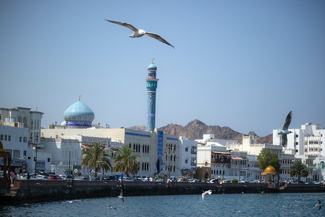 Private Half-day Tour in Muscat - Al Jalali and Al Mirani above the harbor