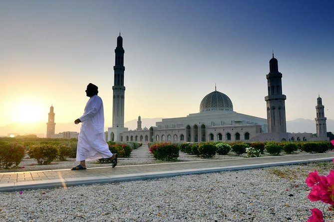 Private-Muscat City tour (Half Day) - Al Alam Palace and Al Jalali Fort