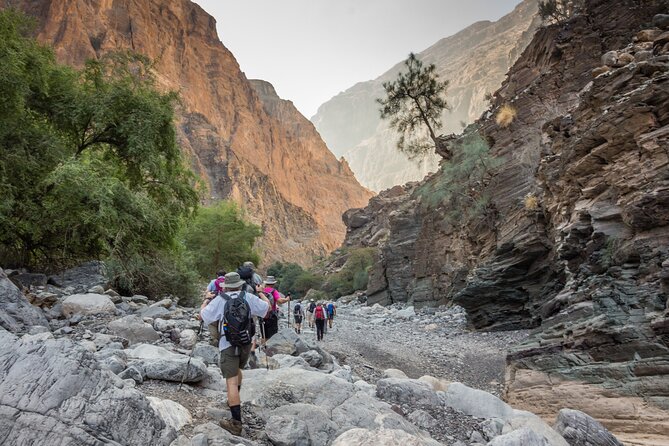 Private Muscat tour to the Grand Canyon Nizwa - Al Hamra’s old lanes and mud-brick homes