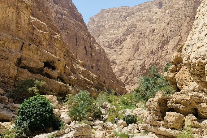 Private Oman Desert Overnight in Wahiba Sand and Wadi Exploration - What the $500 price means