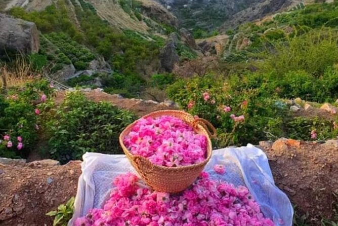 Private Oman Full Day Guided Sightseeing Tour - Nizwa Souq, where shopping is part of the history