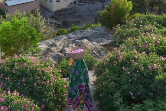 Private Oman Full Day Guided Sightseeing Tour - Jabal Akhdar, the high point of the day