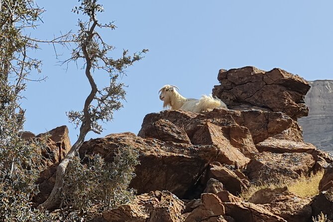 Private Overnight Jebel Shams Camping Tour - Bahla Fort after the mountain