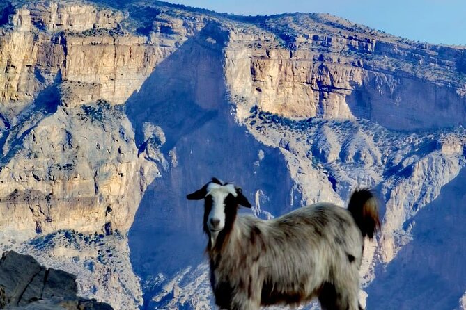 Private Overnight Nizwa & Jebel Akhdar Tour from Muscat - Al Hamra’s old village