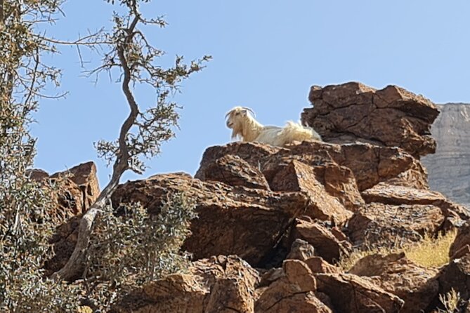 Private Overnight Nizwa & Jebel Akhdar Tour from Muscat - Walking through Misfat Al Abriyeen