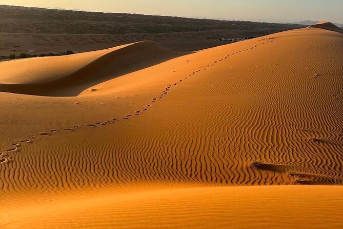 Private Safari tour and Wadi in 4x4 with a local guide - A full day built around contrast