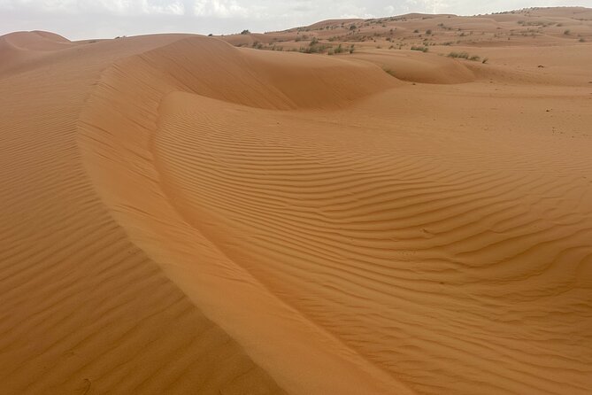 Private Safari tour and Wadi in 4x4 with a local guide - One hour later, the scenery turns to Wahiba Sands