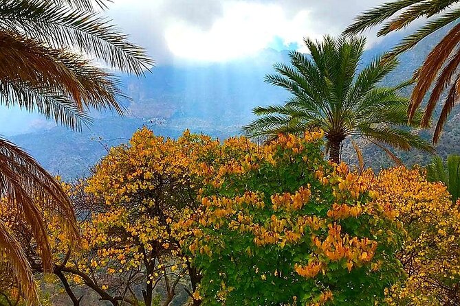 Private Sultan Qaboos Grand Mosque-Nakhal Fort-Wakan Village - Full Day Tour - Wakan Village at 2,000 meters