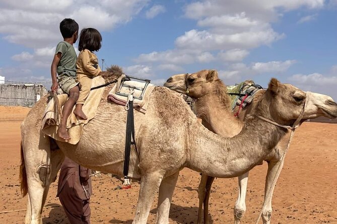 Private Sunset Watching Desert Safari with Dinner - Practical details before you book