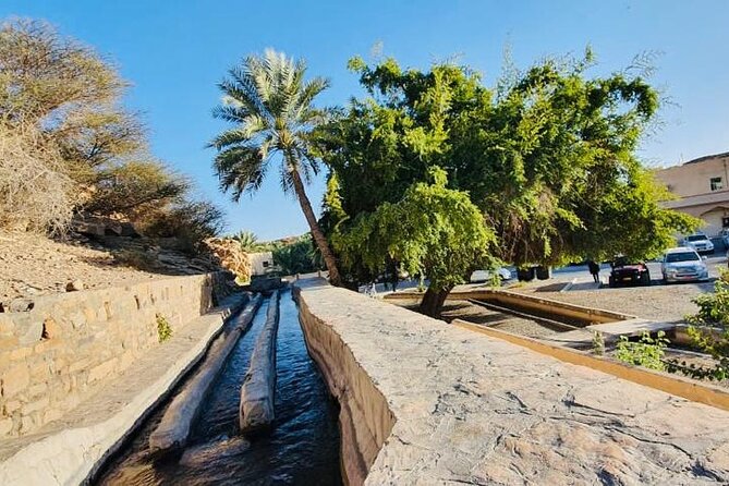 Private Tour to Jebel Akhdar Al Suwjara Village - Who will enjoy this day most
