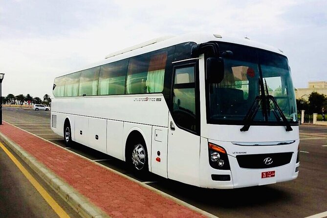 Private Transfer From Muscat To Wadi Shab And Back - What the independent Wadi Shab visit is like