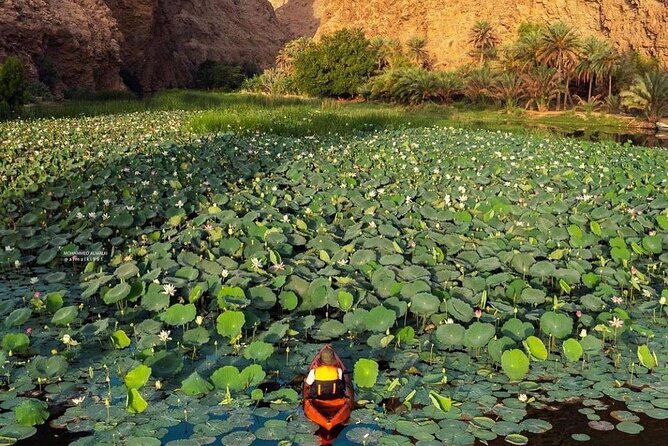Private Trip in Wadi Shab - Wadi Shab is the reason to book