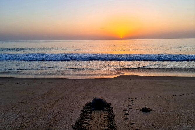 Private Wadi Shab - Ras Al Hadd Overnight - 2 Days Tours - The overnight stay keeps the route manageable