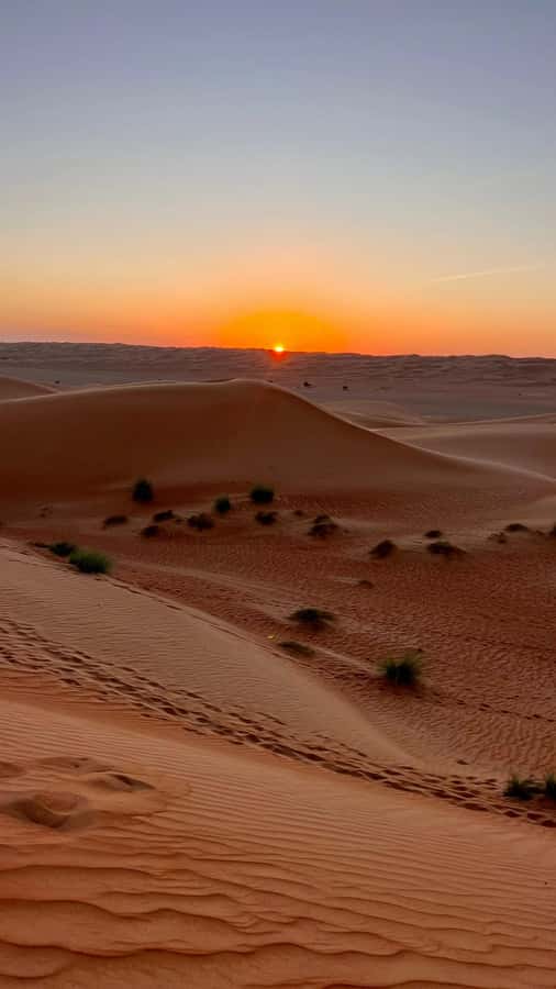 Safari World Zoo and Wahiba Sands with Sunset - What the guides add