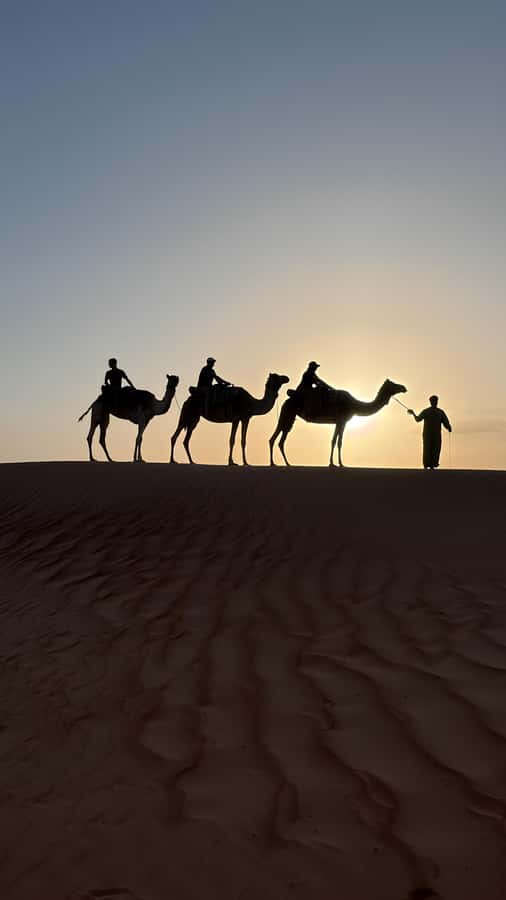 Safari World Zoo and Wahiba Sands with Sunset - The road east from Muscat