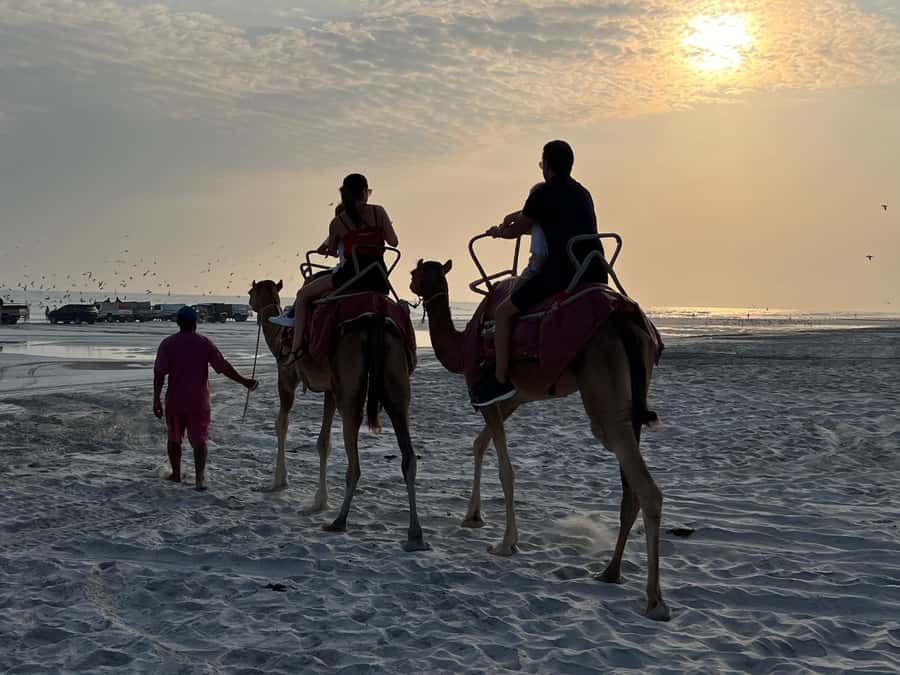 Salalah: Camel Riding on the Beach - A Slow Camel Ride Beside Salalah’s Ocean