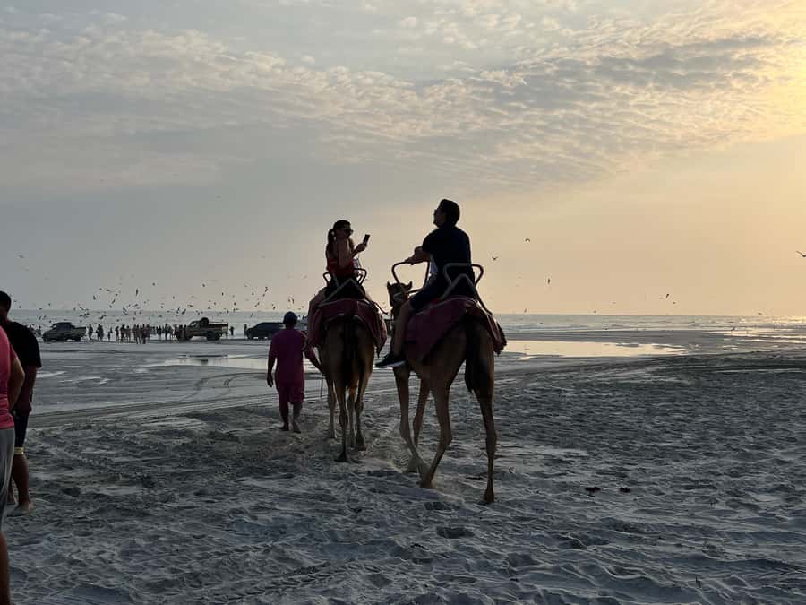 Salalah: Camel Riding on the Beach - Timing, Photos, and the Informal Atmosphere