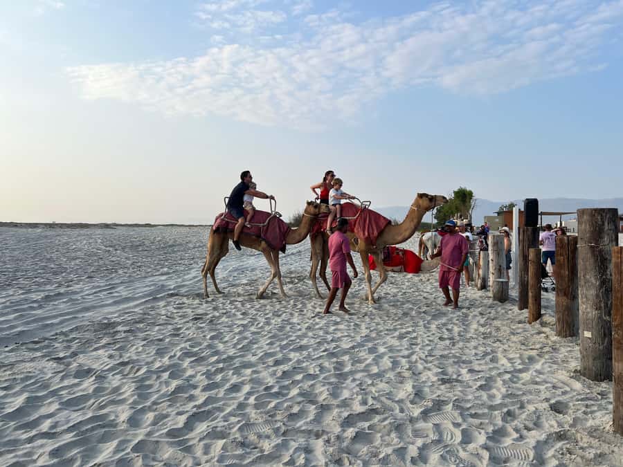 Salalah: Camel Riding on the Beach - Choosing 30 Minutes or One Hour