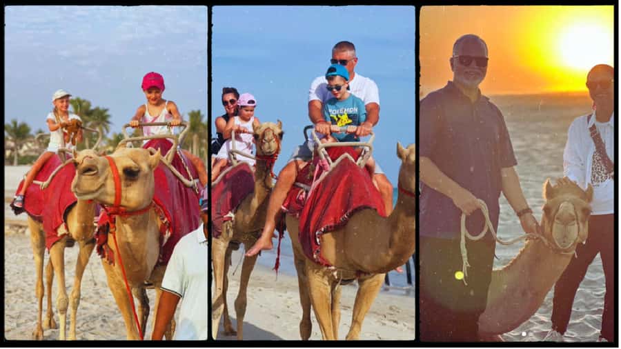 Salalah: Camel Riding on the Beach - Hotel Pickup Can Simplify the Evening