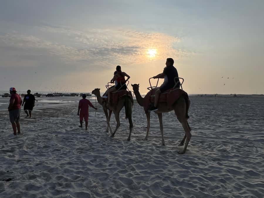 Salalah: Camel Riding on the Beach - What Happens Before You Start Riding