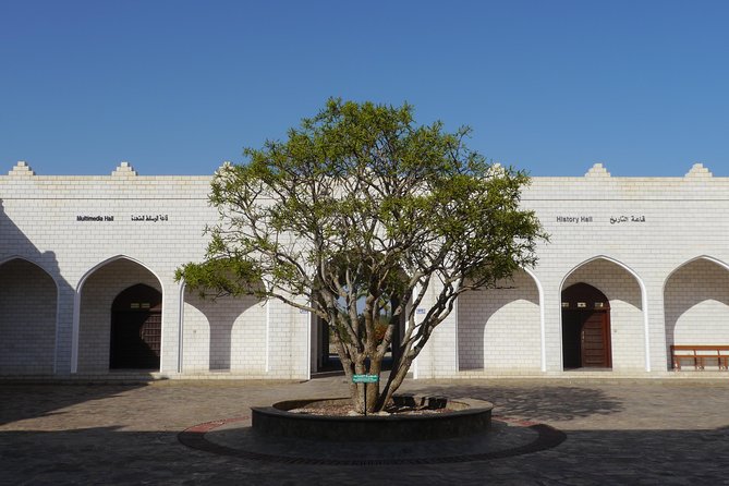Salalah City private tour - all-inclusive sightseeing tour - Sultan Qaboos Mosque: a calm opening stop