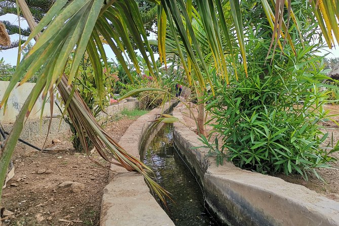 Salalah City private tour - all-inclusive sightseeing tour - Al Husn Souq: frankincense and traditional shopping