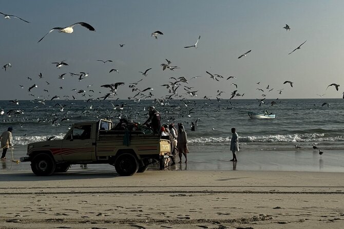 Salalah City Tour: Discover Salalahs Treasures with a Local Guide - Al Hafa Waterfront and an easy seaside walk