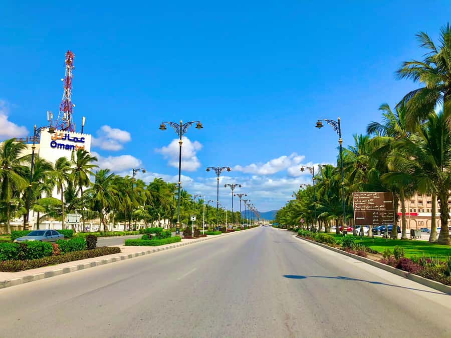 Salalah City Tour: Discover the Best of Oman’s Coastal Gem - Key points to know before booking