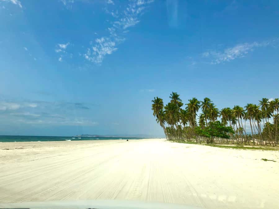 Salalah City Tour: Discover the Best of Oman’s Coastal Gem - Why this three-hour Salalah tour works