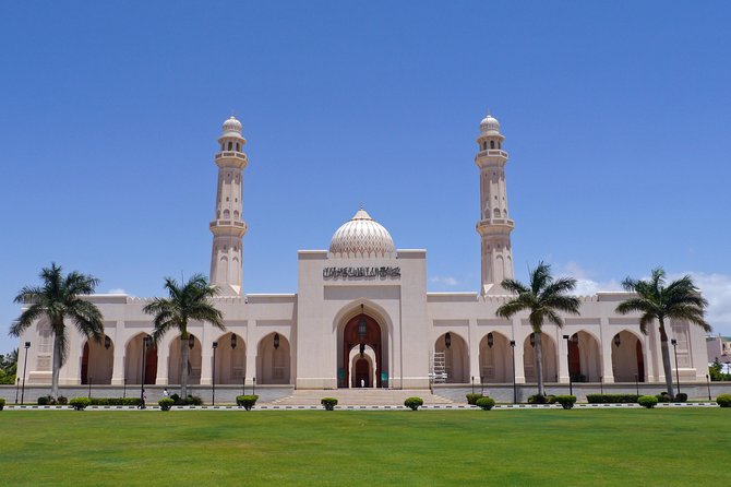 Salalah City Tour + West Coast Combo (Mughsail beach, blowholes) - Coconut palms and irrigation in Al-Haffa
