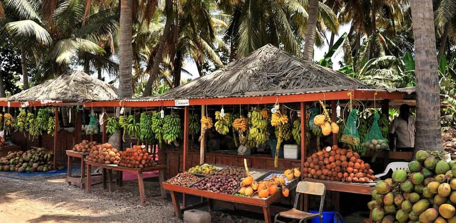 Salalah City Tours - A first look at Salalah through four distinct stops