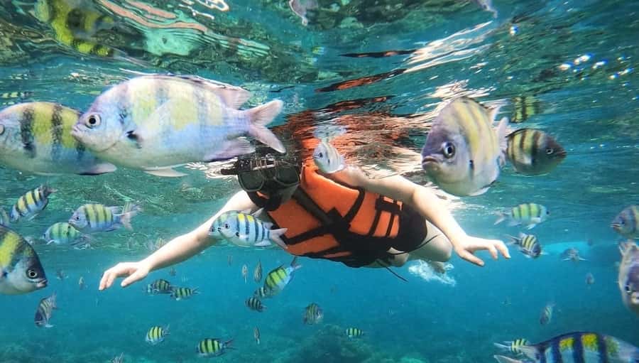 Salalah: Discover Mirbat's Snorkeling Paradise Guided Tour - Key points to know before booking